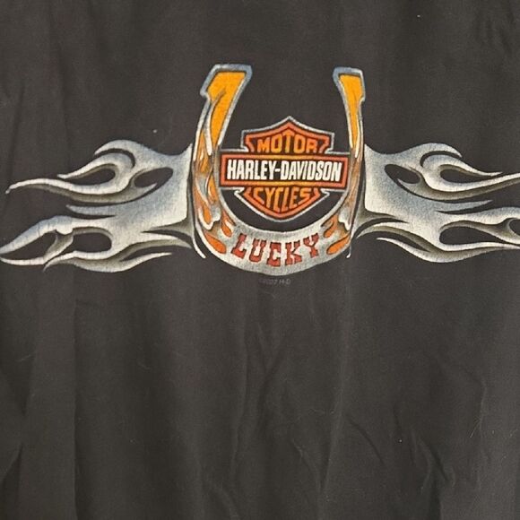 Harley-Davidson Black Tee with Flame Design - Picture 2 of 5